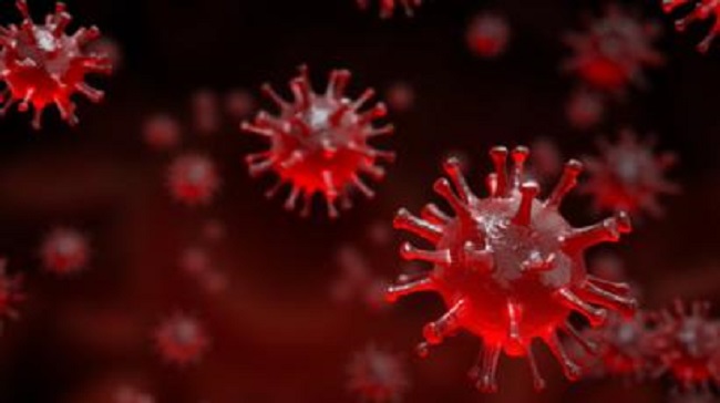 கொரோனா தாக்கத்திலிருந்து குணமடைந்தவர்களின் எண்ணிக்கை 100 ஆக அதிகரிப்பு!