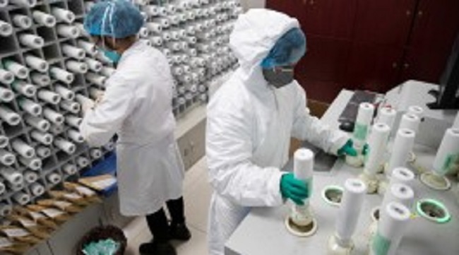 மீண்டும் உருமாறிய கொரோனா வைரஸ்… தடுப்பூசி கண்டுபிடிப்பது மிகவும் சவால்! சீனா….