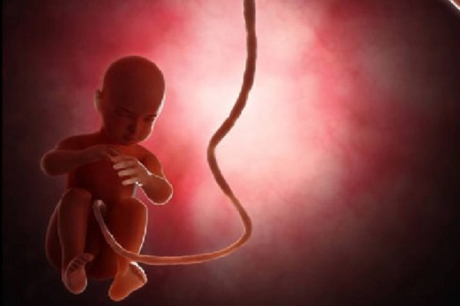 தாயின் கருவில் சிசுவுக்கு கொரோனா பரவும் அபாயம்!