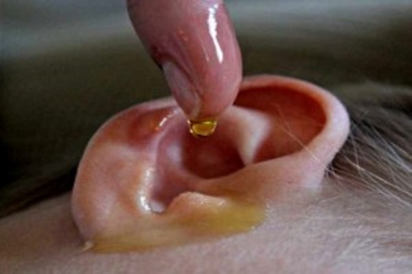 உயிர் போகும் காது வலியா?