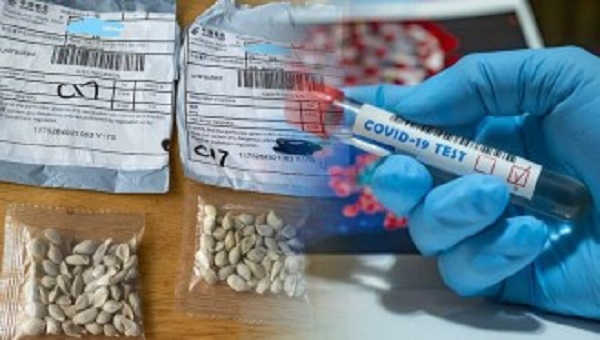 பிரான்சில் கொரோனாவிற்கான இரண்டாவது அலை? அதிர்ச்சியில் அமெரிக்கா