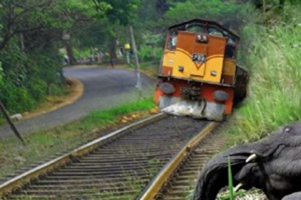 வடக்கிற்கான புகையிரத சேவையில் பாதிப்பு