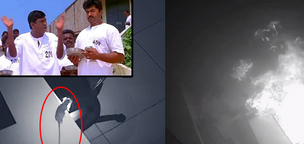 ஒரே ஒரு எலி செய்த காரியத்தால் மொத்த அலுவலகமும் க்ளோஸ்… ரூ.1 கோடி நஷ்டம்!