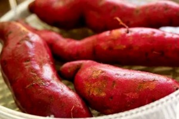 சர்க்கரை வள்ளிக்கிழங்கின் மருத்துவக் குணம்!