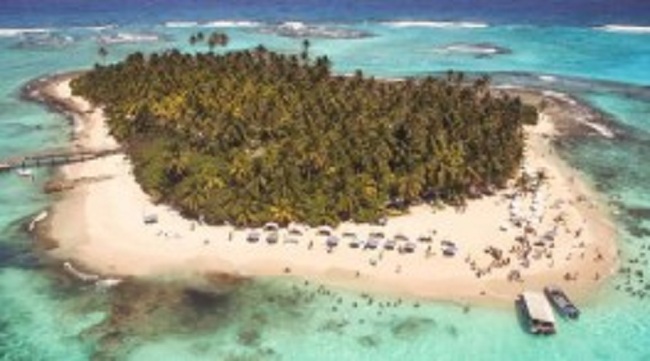 கரீபியன் தீவில் குவியும் சடலங்கள்: வெளியான முக்கிய தகவல்