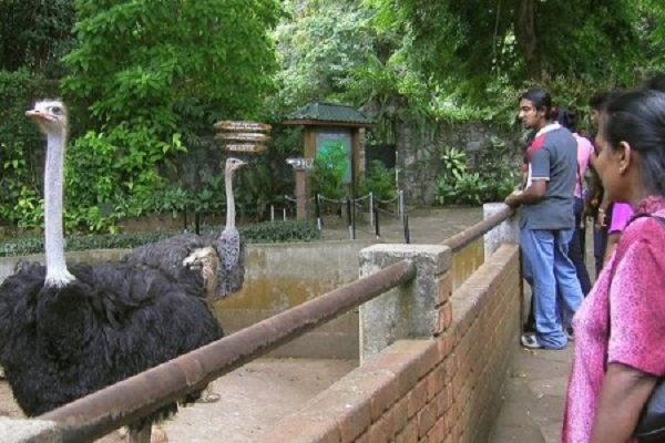 நாட்டின் அனைத்து மிருக்காட்சி சாலைகளும் மறு அறிவித்தல் வரை பூட்டு..!!