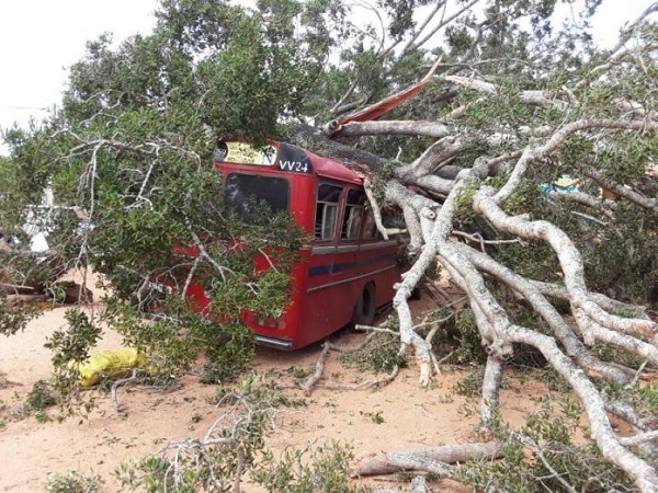 பேருந்து மீது மரம் முறிந்து விழுந்தது! எங்கு தெரியுமா ??