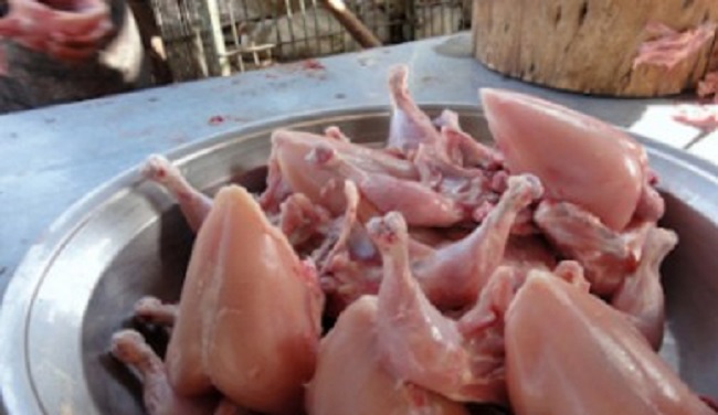 வீடுகளில் இனி கோழி இறைச்சி விற்க தடை! வெளியான முக்கிய செய்தி…!