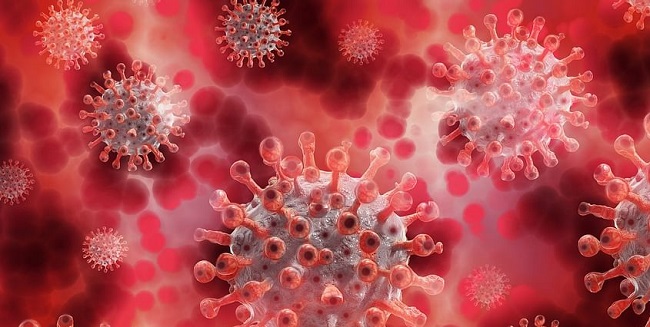 மினுவாங்கொட-பேலியகொட கொத்தணி தொற்று 9,000ஐ கடந்தது! வெளியான முக்கிய தகவல்