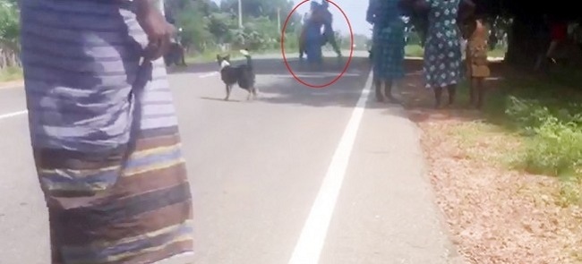 விவசாயிகளுக்கும் கால்நடை பண்ணையாளர்களுக்கும் இடையில் மோதல்!