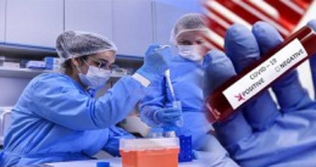 தங்கொட்டுவை மீன் ஏற்றுமதி தொழிற்சாலையில் பணிப்புரியும் 54 பேருக்கு கொரோனா….