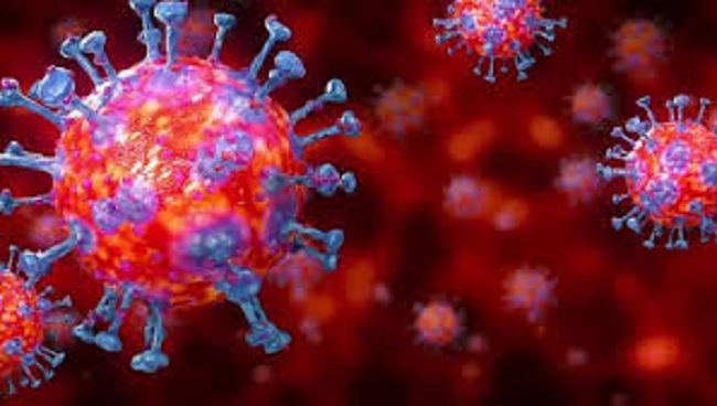 திருகோணமலை மாவட்டத்தில் ஒரே குடும்பத்தை சேர்ந்த 13 பேருக்கு கொரோனா தொற்று!