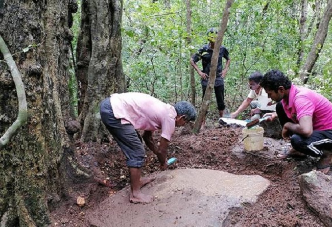 சிங்கள மன்னனின் கல்வெட்டு, கட்டட இடிபாடுகள் முல்லைத்தீவு காட்டுக்குள் மீட்பாம்!