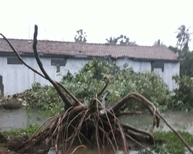 இருபாலையின் சில பகுதிகள் பாதிப்பு! வெளியான முக்கிய தகவல்