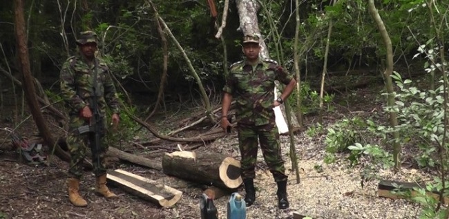 விஷேட அதிரடி படையினரால் ஒருவர் கைது!