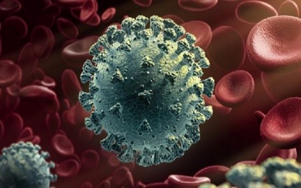 உலகளவில் கொரோனா தொற்றிலிருந்து ஏழு கோடிக்கும் மேற்பட்டோர் மீண்டுள்ளனர்!!