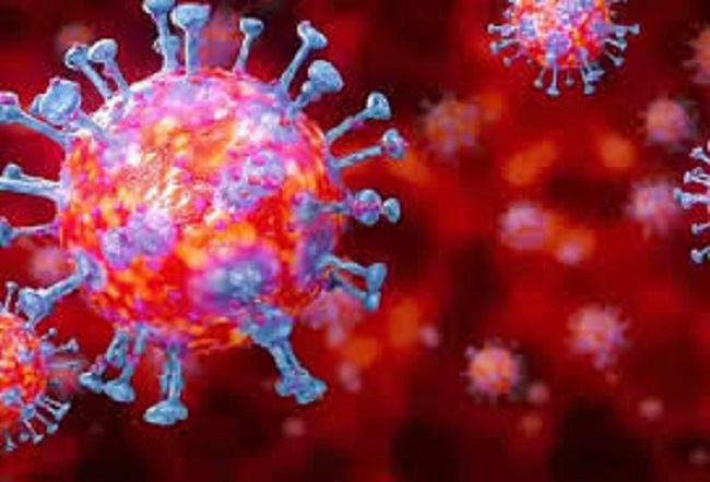 நாட்டில் நேற்று 525 புதிய கொரோனா தொற்றாளர்கள் அடையாளம்