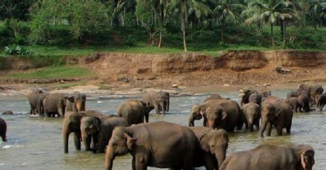 பூங்காக்கள் இன்று முதல் திறக்கின்றன! வெளியான தகவல்