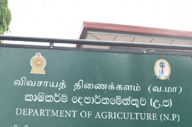 சிறு ஏற்றுமதி பயிர்களில் அதிக வருமானம் – விவசாய திணைக்களம்