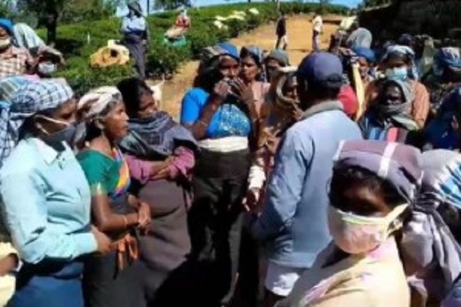 போராட்டத்தில் குதித்த பெருந்தோட்டத் தொழிலாளர்கள்