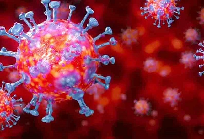 மேலும் 571 பேருக்கு கொரோனா தொற்று..!