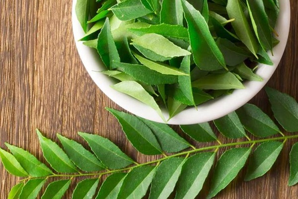 வெறும் வயிற்றில் காலையில் 15 கறிவேப்பிலை இலையை உட்கொண்டு வந்தால் கிடைக்கும் நன்மைகள் என்ன தெரியுமா?