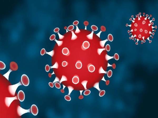 கோவிட் இடரிலும் கொண்டாட்டம்!