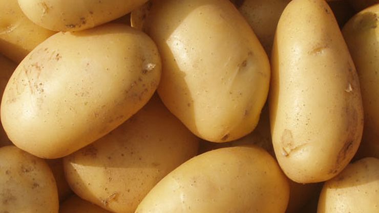 உருளைக்கிழங்கில் இவ்வளவு நன்மைகள் உள்ளதா? ஒல்லியாக இருப்பவர்கள் உடல் எடையை கூட அதிகரிக்கலாம்