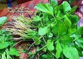 அடிக்கடி கீரை சாப்பிட்டால் பக்க விளைவுகள் ஏற்படுமா? கொஞ்சம் உஷாரா இருங்க