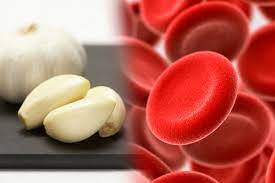 இரத்தக்குழாய்களை சுத்தம் செய்ய சாப்பிட வேண்டிய உணவுகள் என்னென்ன தெரியுமா?