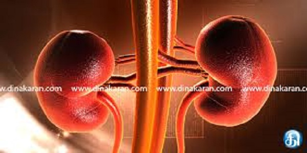 சிறுநீரகம் தொடர்பான நோய் வராமல் தடுக்கும் பழம்