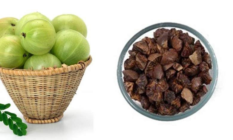 தினமும் ஒரு துண்டு காய்ந்த நெல்லிக்காயை சாப்பிடுவதால் ஏற்படும் பெறும் நன்மைகள் என்ன ?