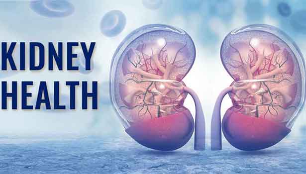 இந்த 10 விஷயங்கள் சிறுநீரகத்தை பாதிக்கும்