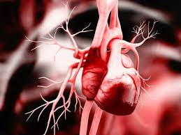 இதய பிரச்சனையே வரக்கூடாதா? அப்ப தினமும் ஒரு கையளவு இத சாப்பிடுங்க போதும்