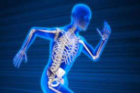 எலும்பு ஆரோக்கியத்திற்கான உணவுகள் !