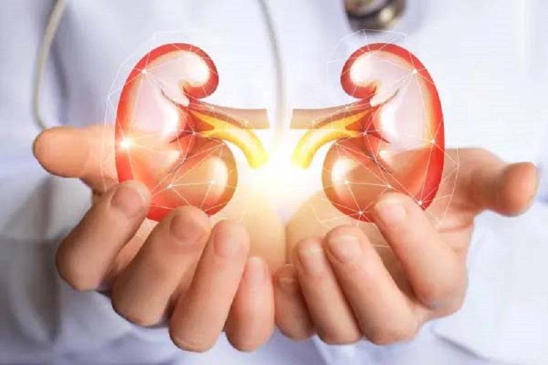 கிட்னி பிரச்சினை வராமல் இருக்க செய்ய  வேண்டியவை!