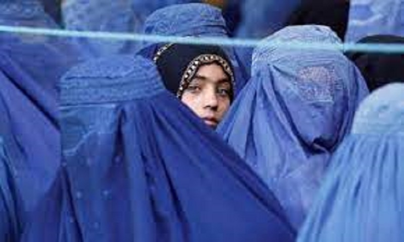 தலிபான்கள் தொடர்பில்  முன்னாள் நீதிபதி  வெளியிட்ட பகீர் சம்பவங்கள்!