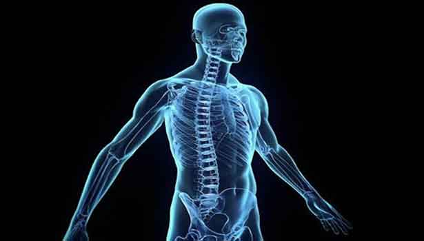 அதிசயங்களையும் பல சிறப்புகளையும் தன்னகத்தே கொண்டது மனித  உடல்