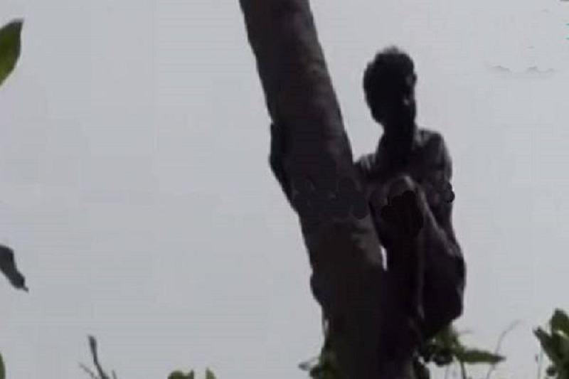 பசியை தாங்க இயலாமல் மரத்திலிருந்து குதிக்க முயன்ற மனிதன்