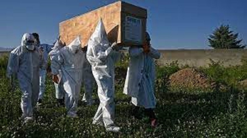 அமெரிக்காவில் மீண்டும் கொரோனோ மரணங்களின் எண்ணிக்கை அதிகரிக்கின்றன