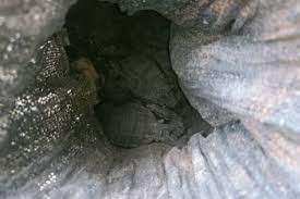 யாழில் பாழடைந்த கிணற்றில் இருந்து மீட்க்கப்பட்ட வெடி பொருட்கள்