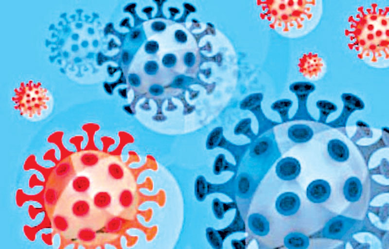 இந்தியாவில்  மாற்றம் பெற்ற டெல்டா