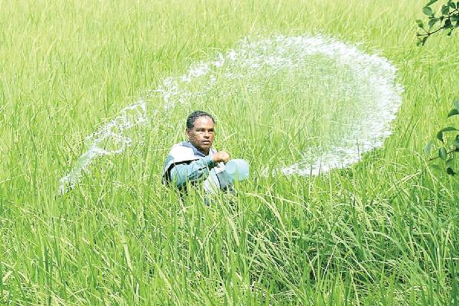 இறக்குமதி செய்யப்பட்ட யூரியா ஒன்றின் விலை தெரியுமா?