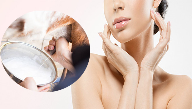 சரும அழகை காக்கும் ஆட்டுப்பால்