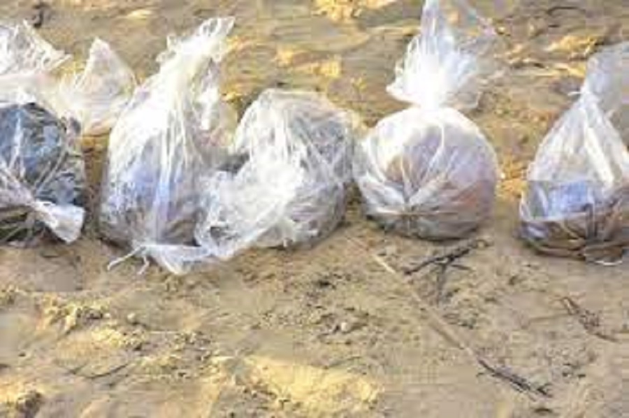 தொண்டமனாற்றில் மனித எச்சங்கள் கண்டு பிடிப்பு!