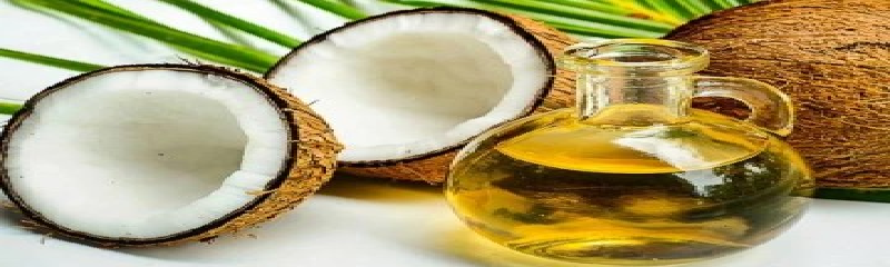 தேங்காய் எண்ணெய் தொடர்பில் வெளியாகியுள்ள முக்கிய தகவல்