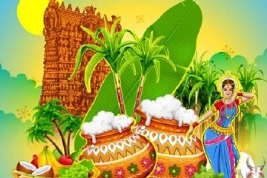 பொங்கல் கொண்டாட்டத்திற்கு தயாராகும் மக்கள்