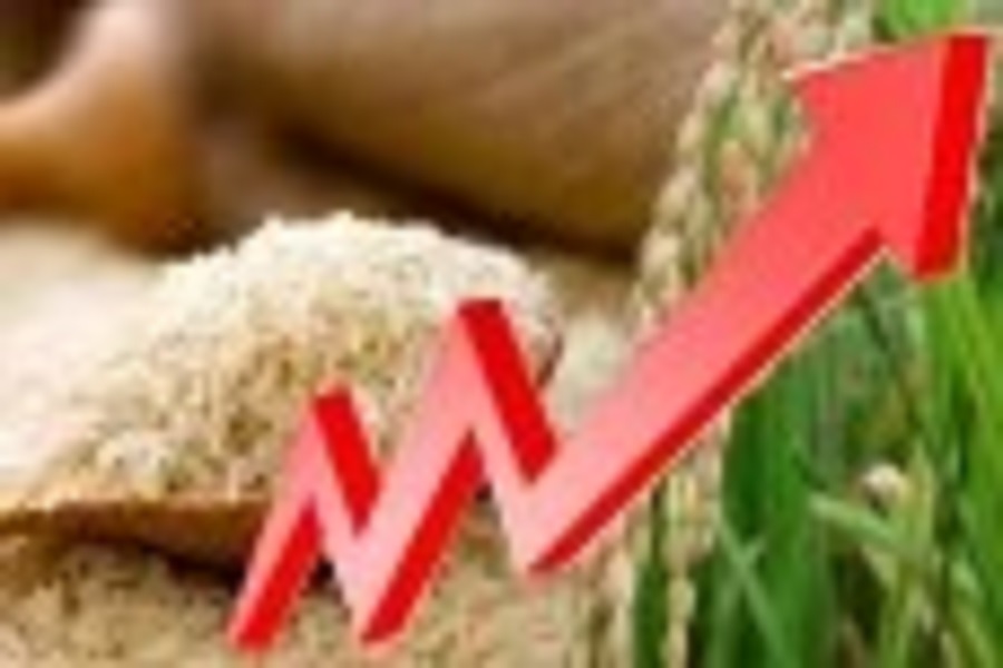 அரிசியின் விலை மேலும் அதிகரிப்பு!