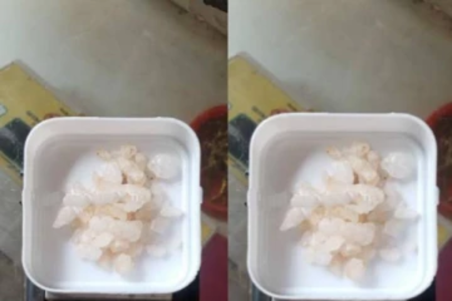 யாழ் ஏழாலையில் போதைப் பொருளுடன் இருவர் கைது!