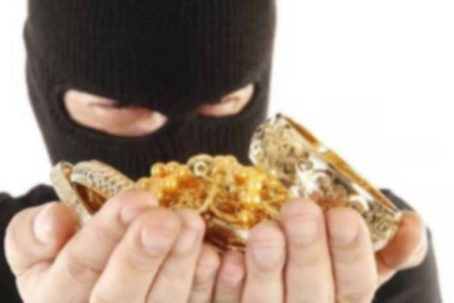 மலர்ச்சாலை உரிமையாளர் வீட்டில் திருடிய திருடர்கள் கைது!